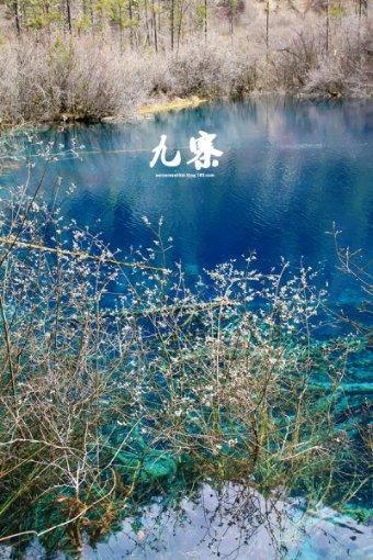 幽浮2