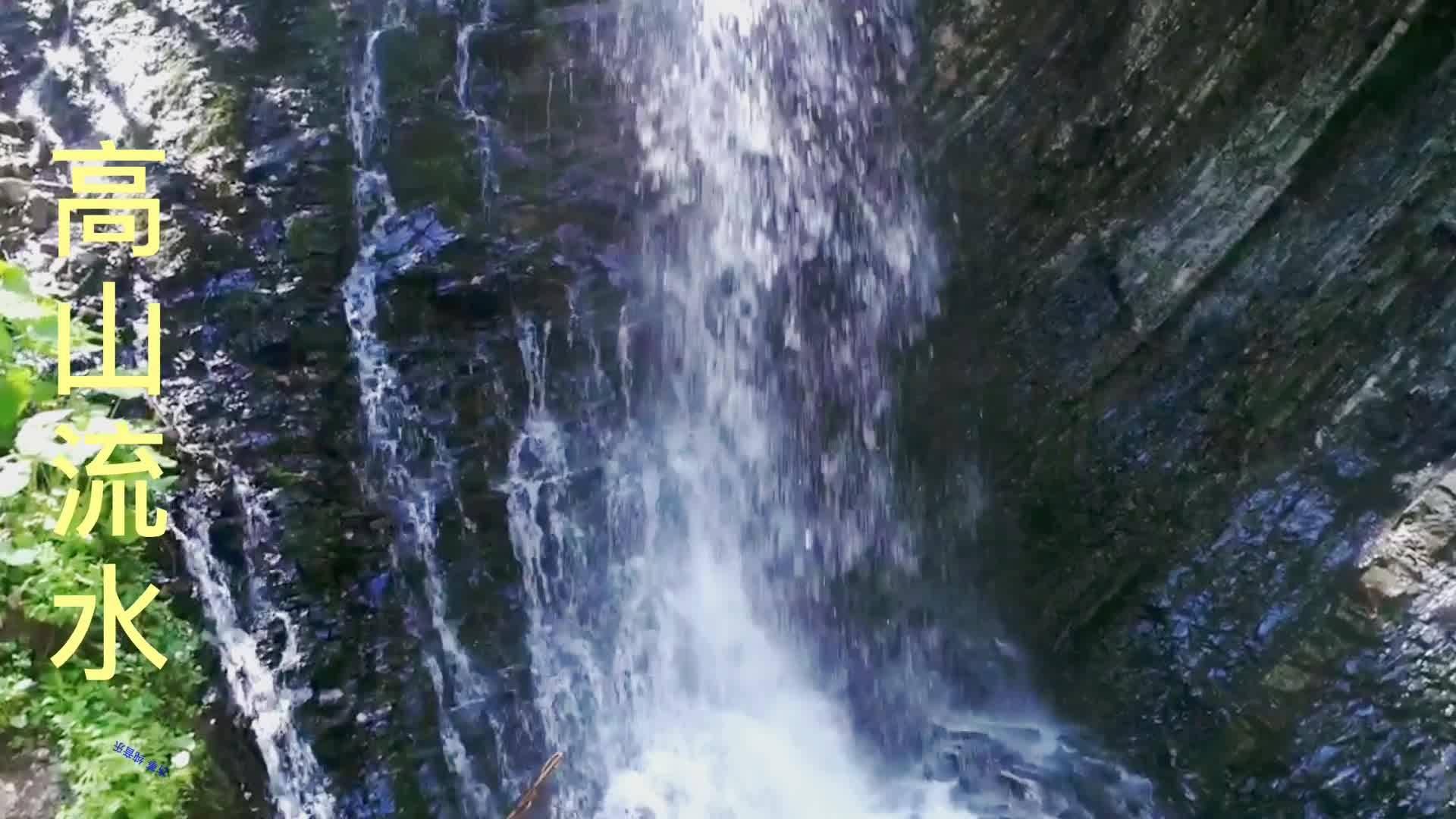 红树林逃生