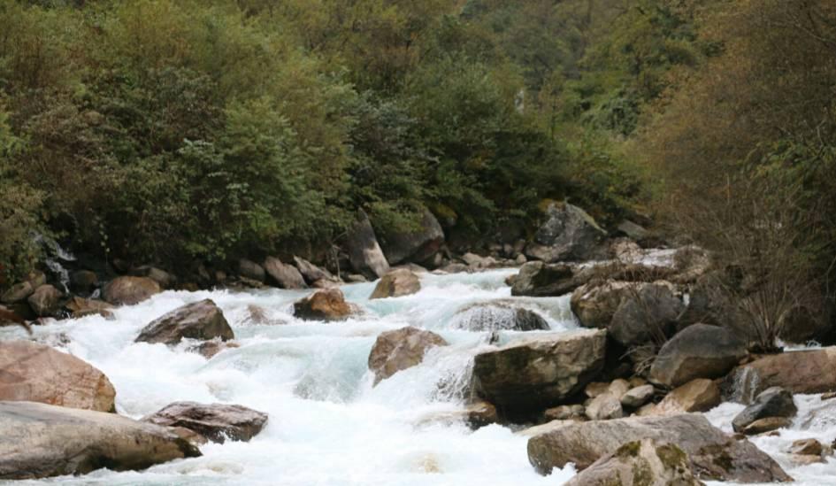 虫虫助手下载