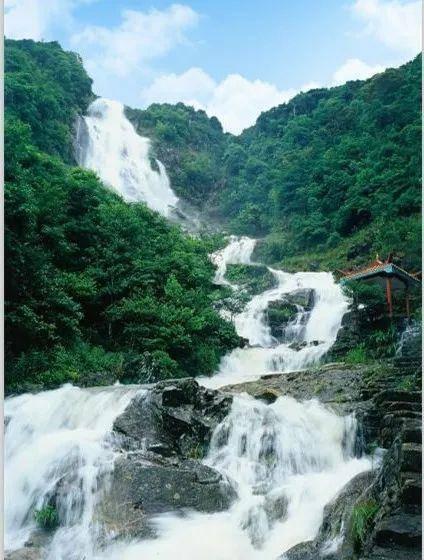 2024吉林省两会 | 冷春生委员：推进“长辽梅通白延医药健康产业走廊”建设 向医药康养强省迈进