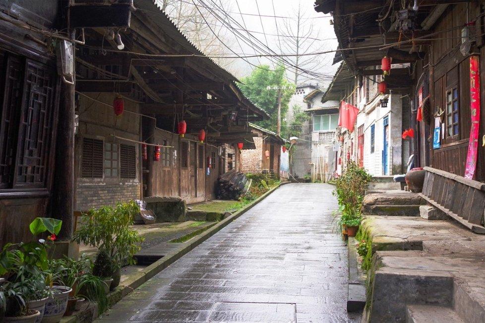 饿狮救援
