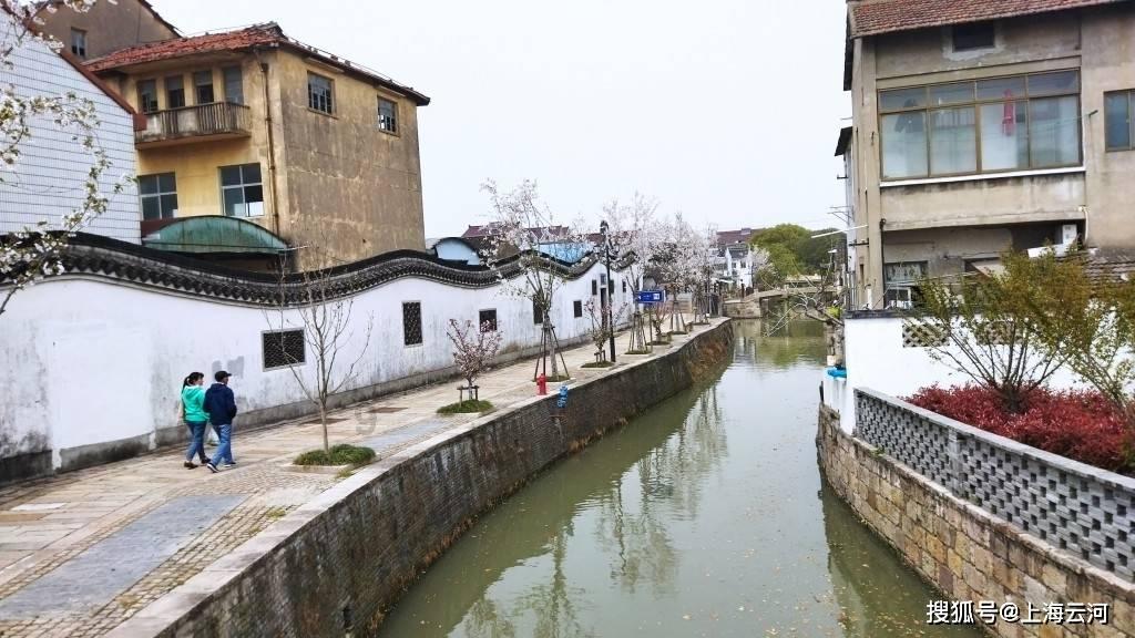 恐龙绝地逃生