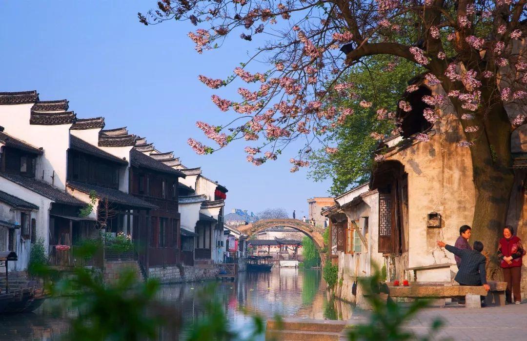沪江开心词场